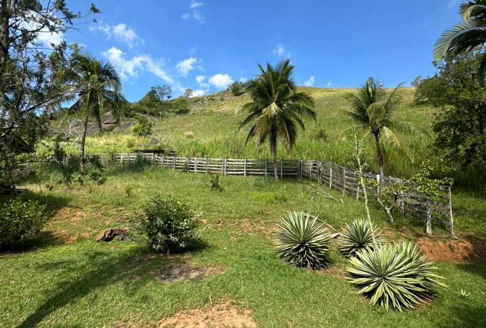 WhatsApp Image 2025-11-14 at 15.49.17