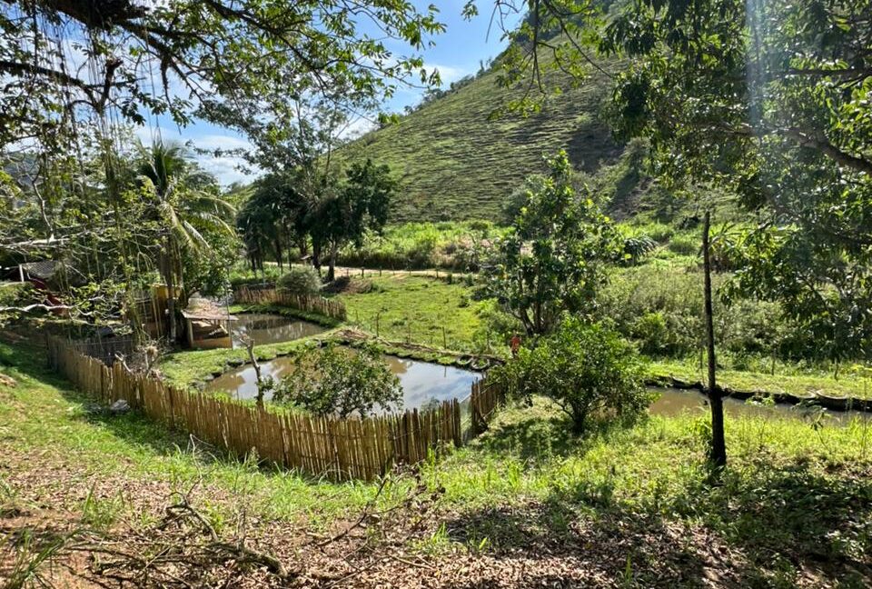 WhatsApp Image 2025-11-14 at 15.49.41 (1)