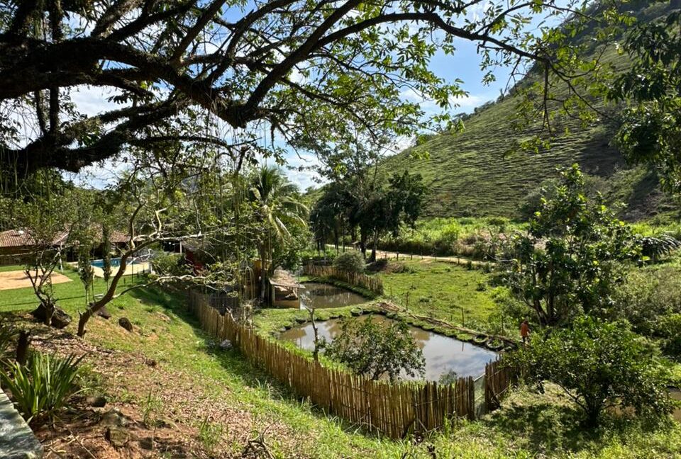 WhatsApp Image 2025-11-14 at 15.49.41