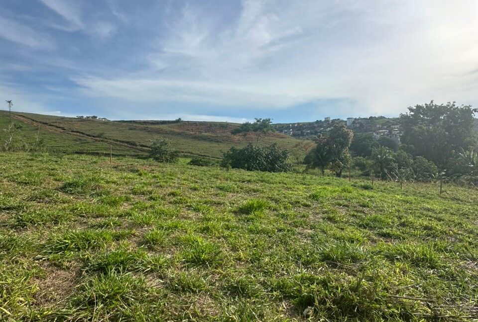 WhatsApp Image 2025-11-05 at 15.58.19 (1)