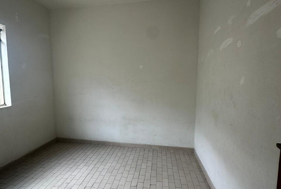 WhatsApp Image 2026-03-17 at 10.17.37 (1)