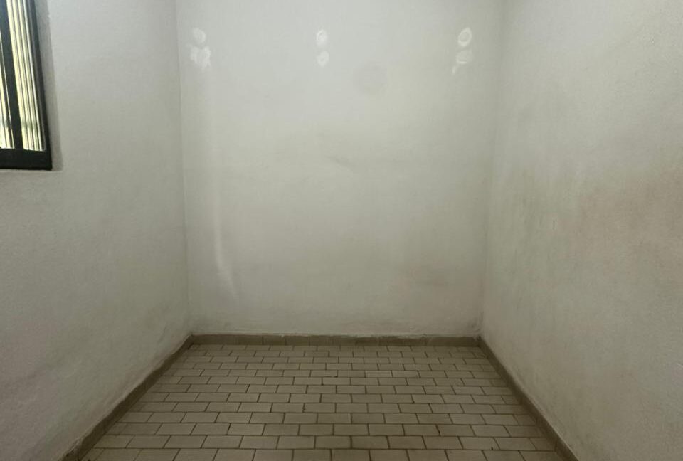 WhatsApp Image 2026-03-17 at 10.17.38 (1)