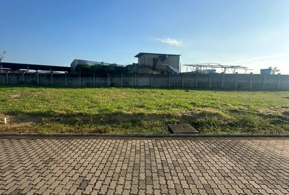 WhatsApp Image 2026-03-18 at 16.46.42 (1)