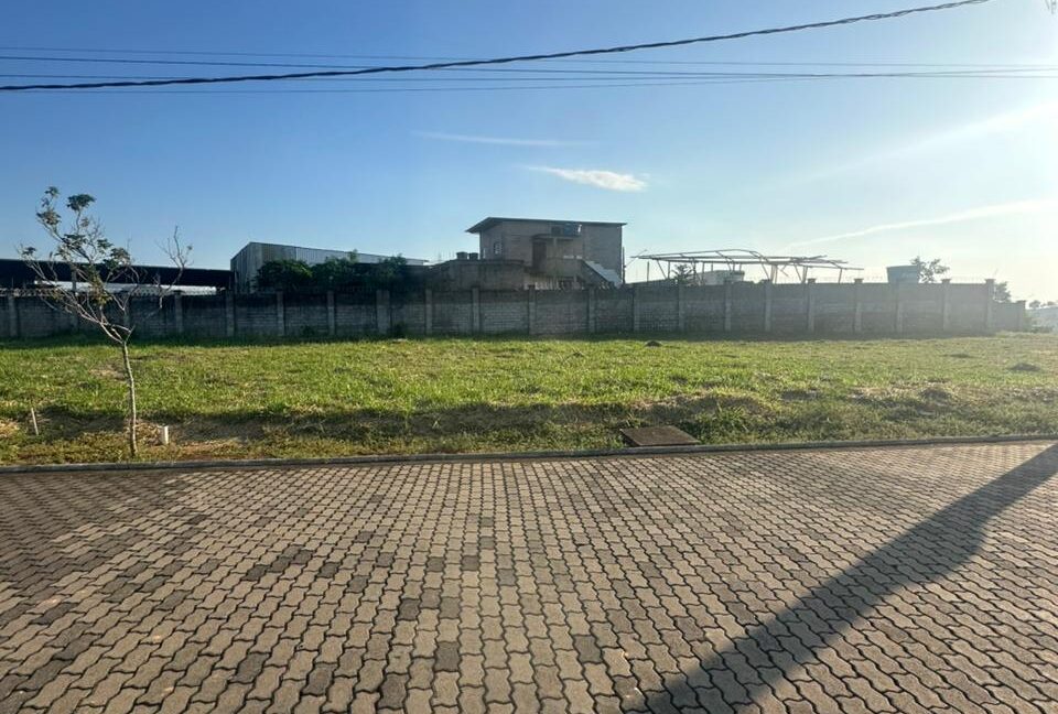 WhatsApp Image 2026-03-18 at 16.46.42