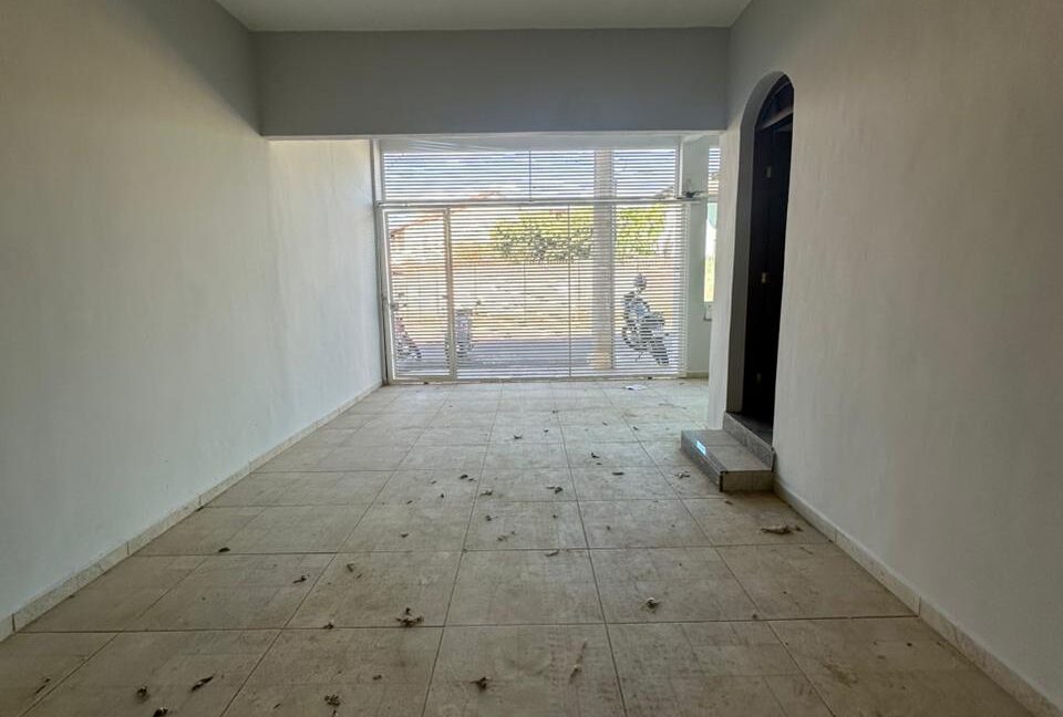 WhatsApp Image 2026-03-26 at 14.56.50