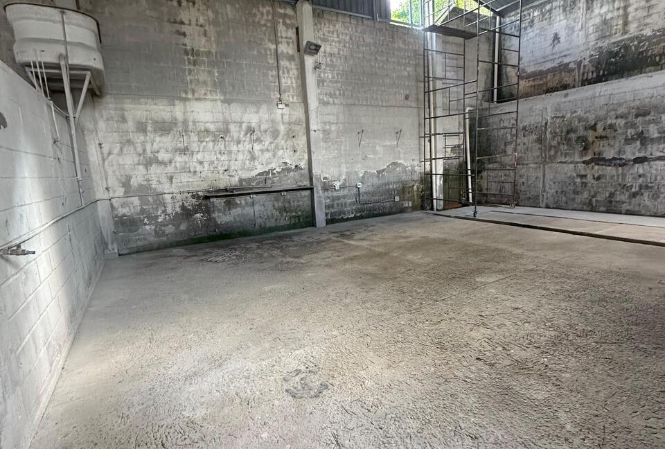 WhatsApp Image 2026-04-06 at 14.28.13