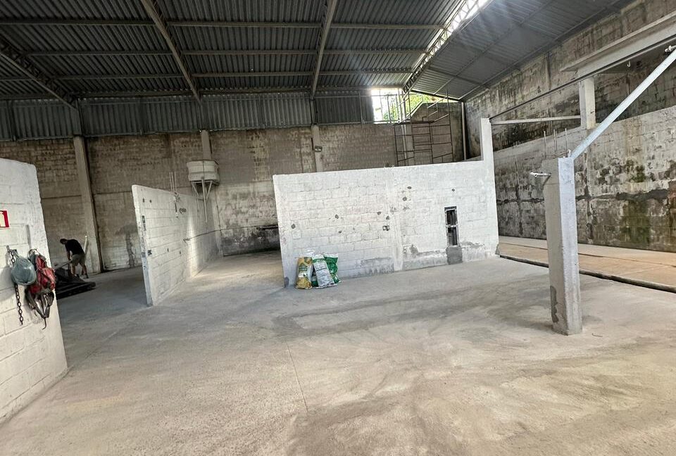 WhatsApp Image 2026-04-06 at 14.28.14